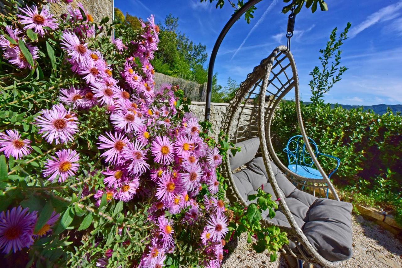 Villa Fragola Motovun Exteriér fotografie