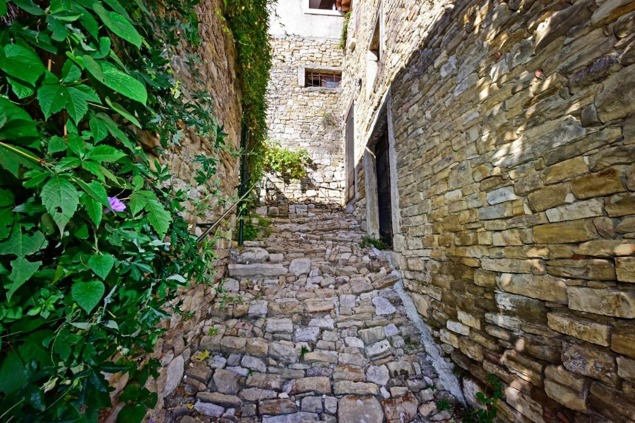 Villa Fragola Motovun Exteriér fotografie