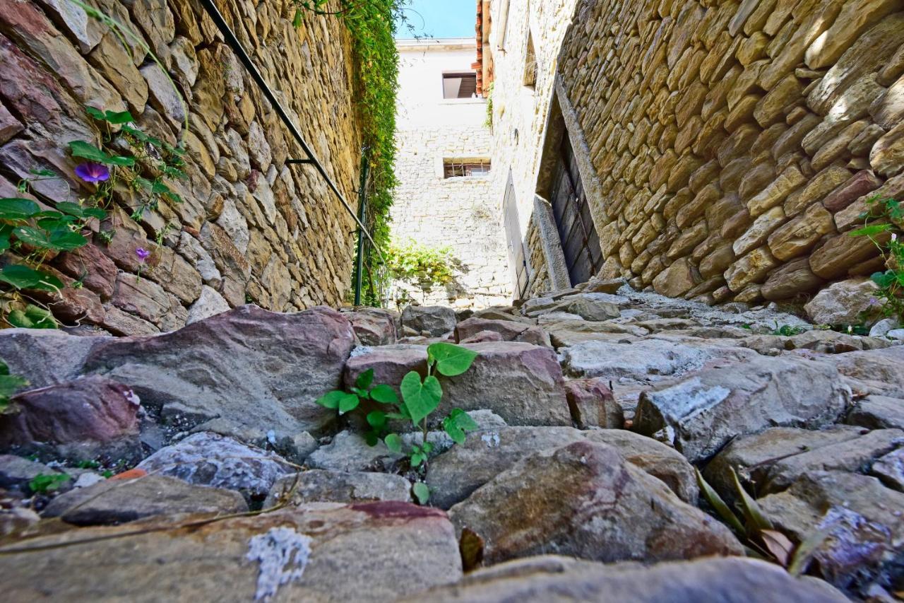 Villa Fragola Motovun Exteriér fotografie