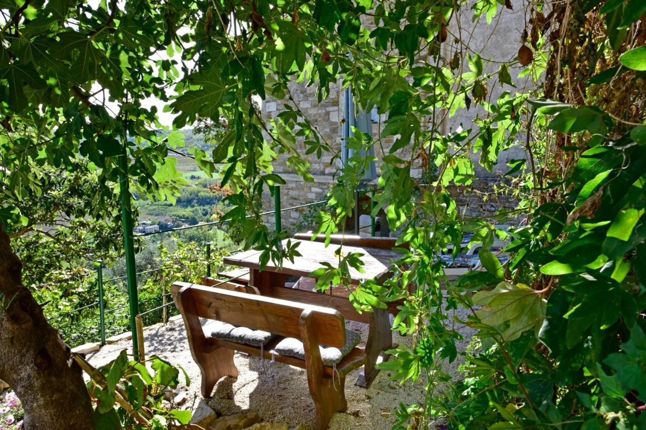 Villa Fragola Motovun Exteriér fotografie
