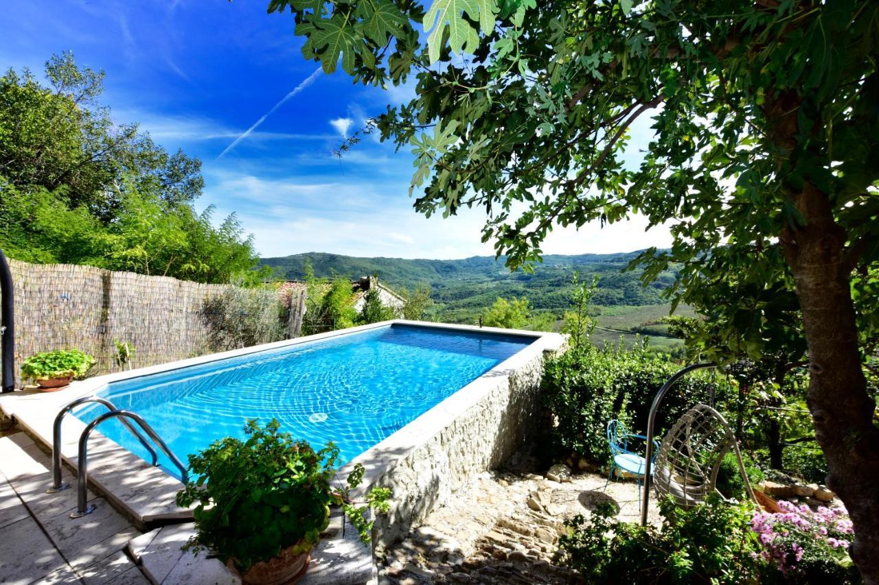 Villa Fragola Motovun Exteriér fotografie